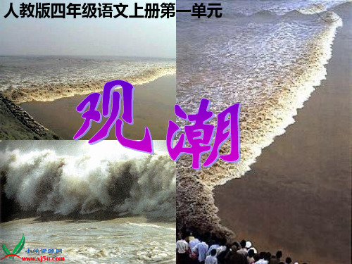 四年级语文上册第一课《观潮》ppt课件