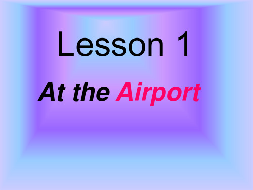 Lesson1-At-the-Airport课件