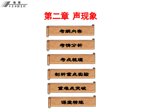 人教版初中物理中考复习课件  第二章  声现象