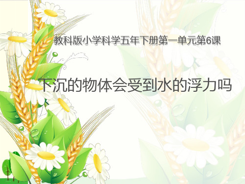 浙教版《水的浮力》精品教学课件1