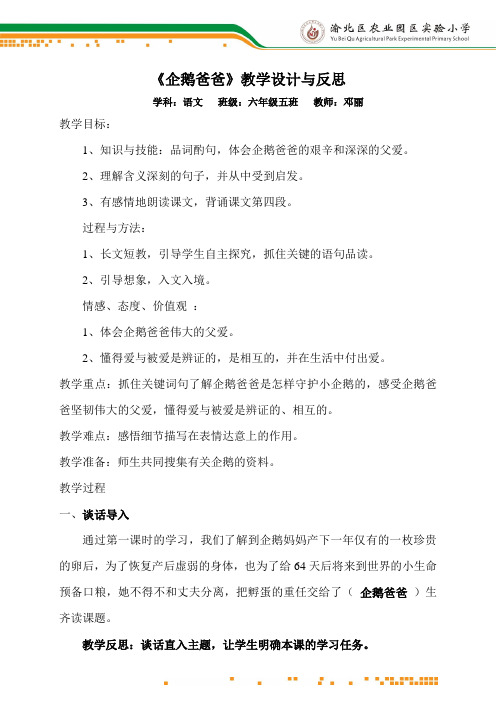 企鹅爸爸教研课教案及反思