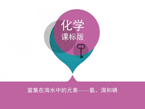 富集在海水中的元素——氯、溴和碘