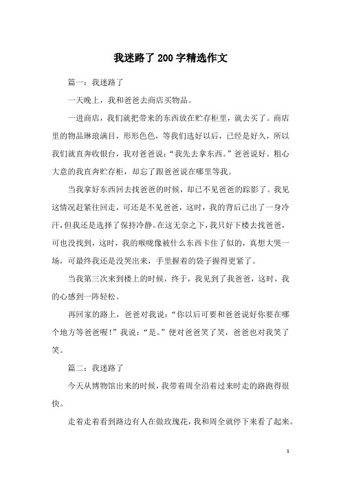 我迷路了200字精选作文