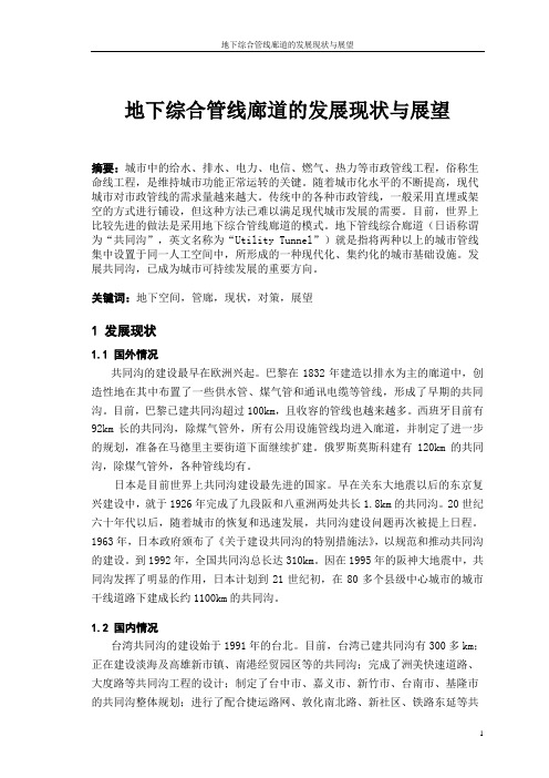 地下综合管线廊道的发展现状与展望