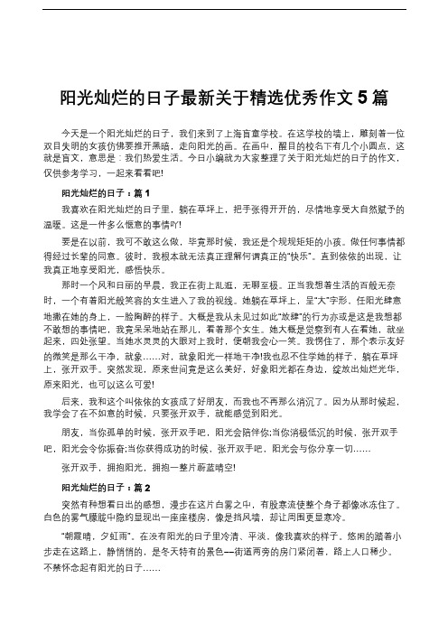 阳光灿烂的日子最新关于精选优秀作文5篇