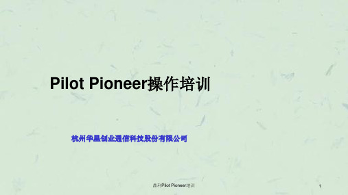 鼎利PilotPioneer培训