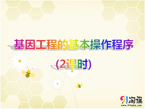 原创9：1.2 基因工程的基本操作程序