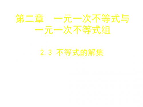 数学(北师大版)教学课件：2.3 《不等式的解集》