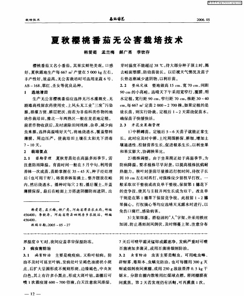 夏秋樱桃番茄无公害栽培技术