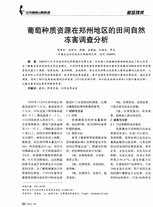 葡萄种质资源在郑州地区的田间自然冻害调查分析