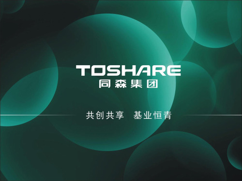 同森集团简介
