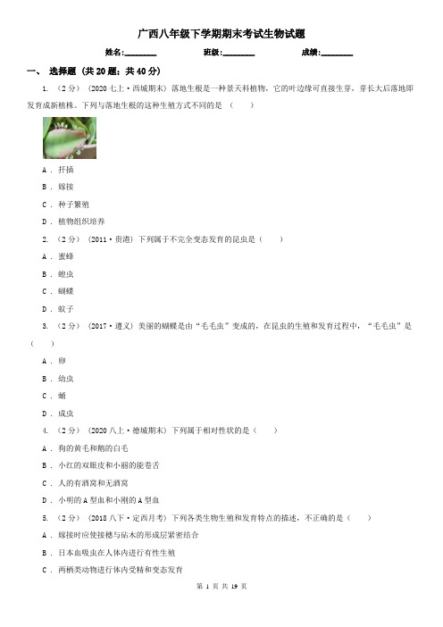 广西八年级下学期期末考试生物试题