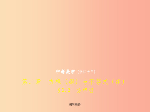 (浙江专用)中考数学总复习 第二章 方程(组)与不等式(组)2.3 方程组(试卷部分)