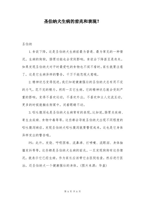 圣伯纳犬生病的前兆和表现？