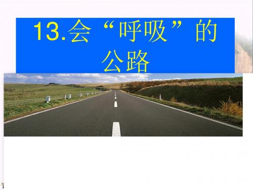 三年级语文上册 第三单元 会“呼吸”的公路课件1 西师大版