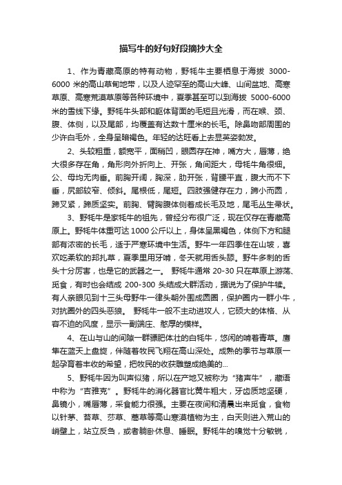 描写牛的好句好段摘抄大全