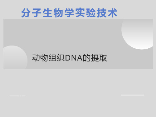 组织DNA的提取及凝胶回收