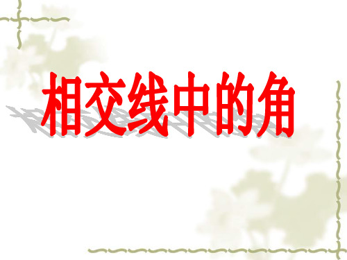 相交线中的角同位角内错角同旁内角精品课件.ppt