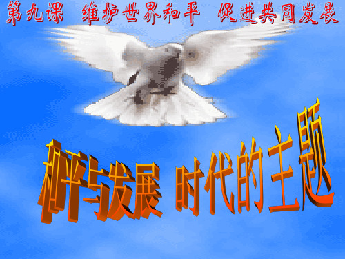 和平与发展问题