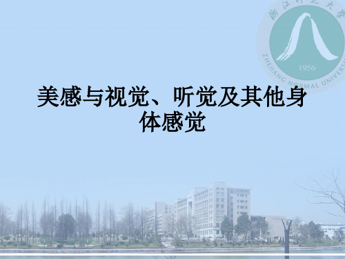 美感与视觉、听觉及其他身体感觉ppt课件