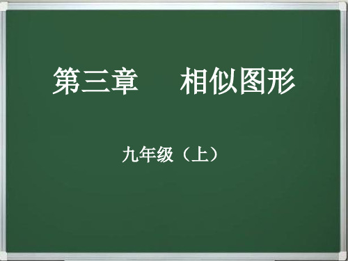 九年级数学上册第三章     相似图形(同步+复习)串讲精品课件