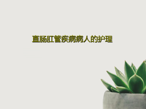 直肠肛管疾病病人的护理共32页