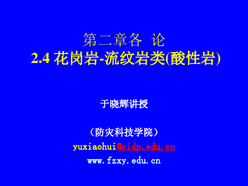 2.4 花岗岩一流纹岩类