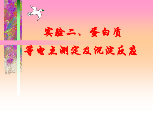 实验蛋白质的等电点测定和沉淀反应