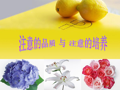 注意的品质与注意的培养PPT课件