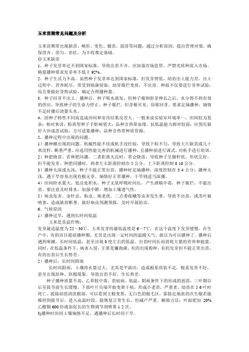 玉米苗期常见问题及分析