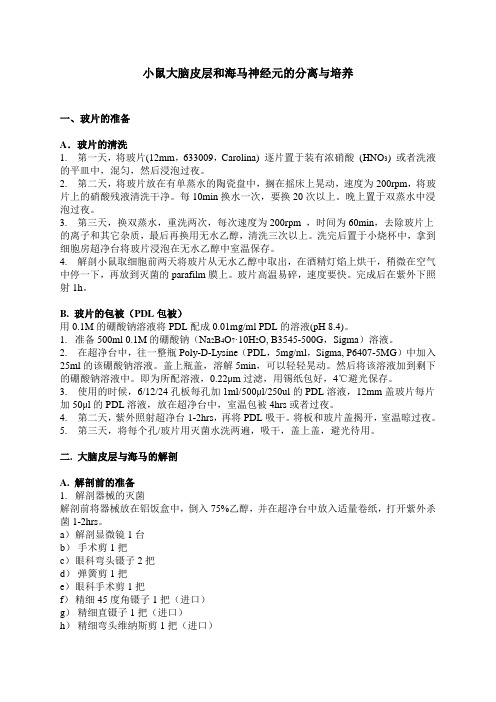 小鼠大脑皮层和海马神经元的分离与培养20110110