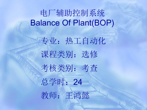 电厂辅助控制系统(1)