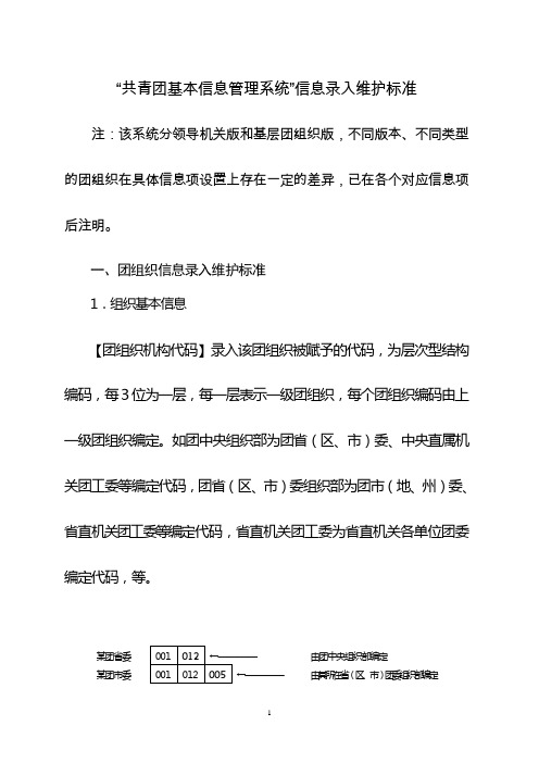 共青团基本信息管理系统信息录入维护标准