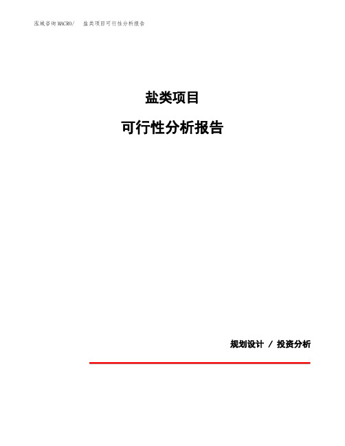 盐类项目可行性分析报告(模板参考范文)
