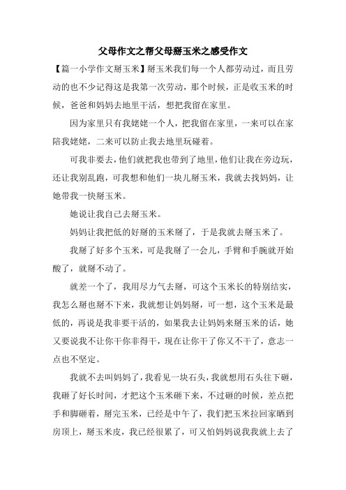 父母作文之帮父母掰玉米之感受作文