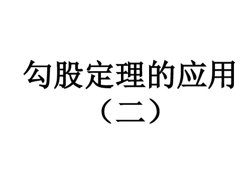 北师大版八年级数学上册  1.3 勾股定理的应用