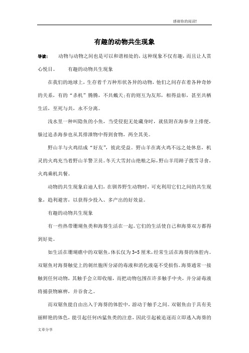 有趣的动物共生现象