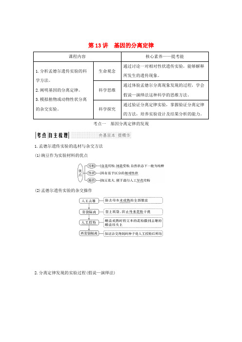 (鲁京津琼)2020版高考生物总复习第13讲基因的分离定律教案