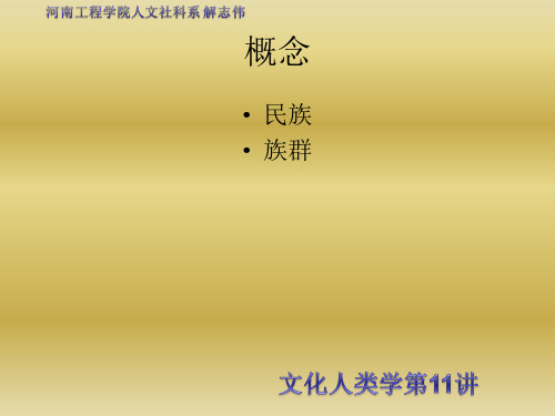 文化人类学族群