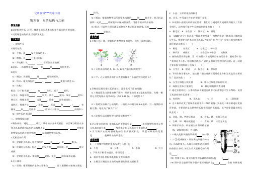 生物济南版八年级上册根的结构与功能 学案