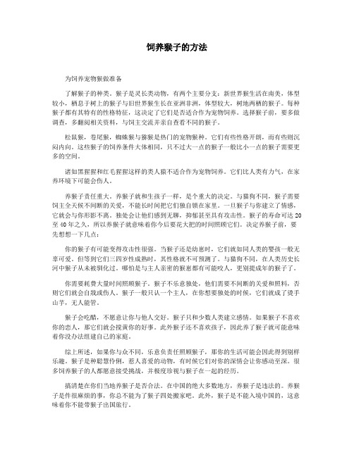 饲养猴子的方法