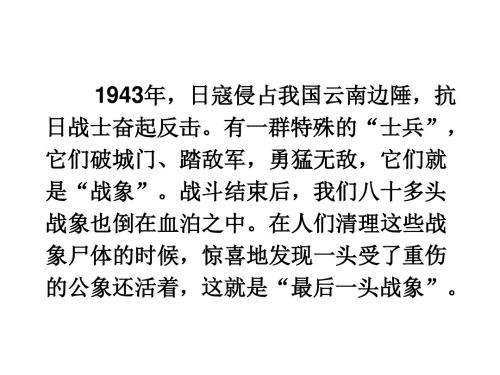 《最后一头战象》课件PPT
