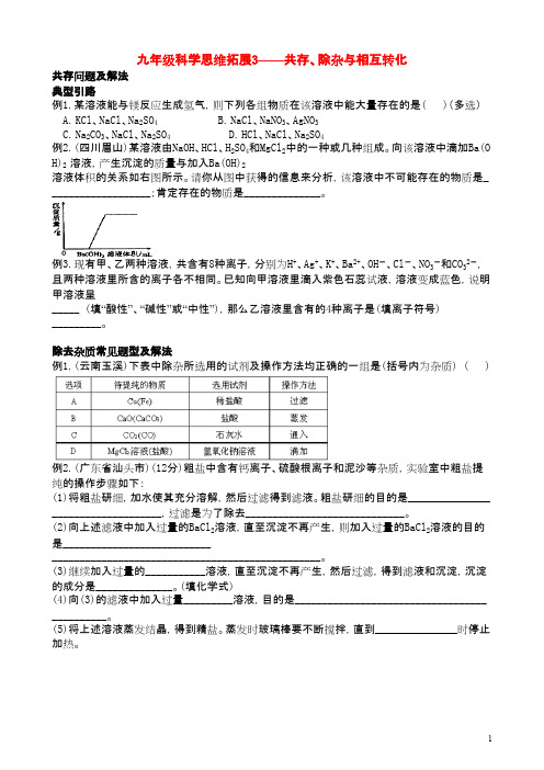 九年级科学上册 思维拓展3共存除杂与相互转化试题 浙教版