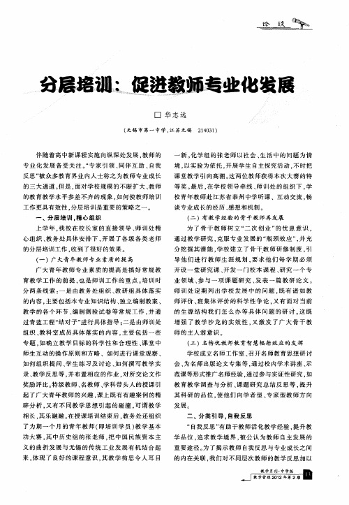 分层培训：促进教师专业化发展