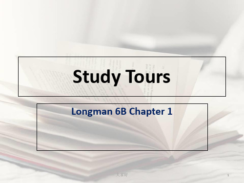 香港朗文6B Chapter1 课件 PPT