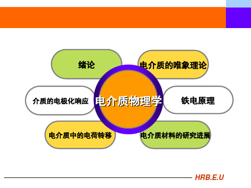 介质的电极化响应