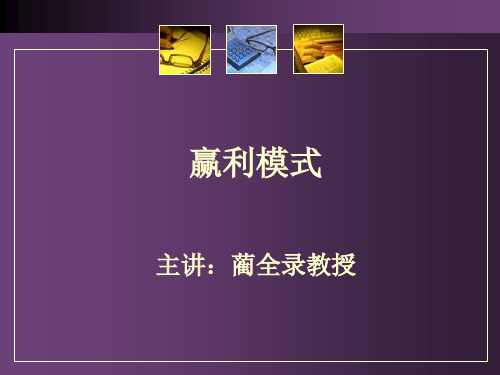 赢利模式及案例分析