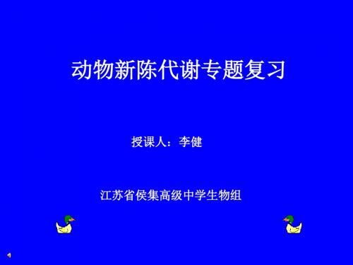 动物新陈代谢专题复习上课备用