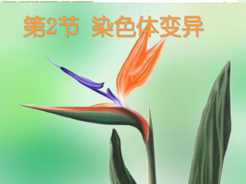 《染色体变异》PPT课件1