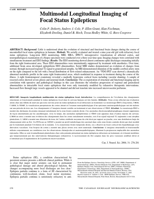 multimodal longitudinal imaging of focal status epilepticus